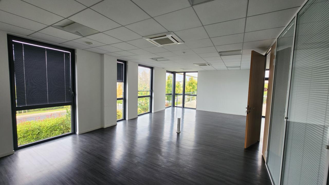 Local d'activité Bailly-Romainvilliers 3300m² Location local d'activité Bailly-Romainvilliers Seine-et-Marne OLACT2314378 7